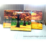 光柵立體裝飾畫批發(fā) 無框3D立體畫生產 40x40cm光柵立體畫定制